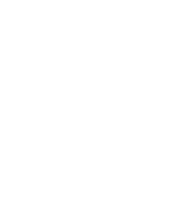 Logo Litha RSE