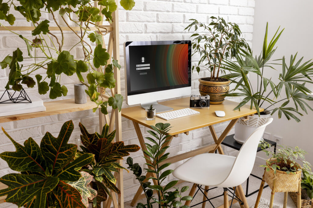 bureau avec un ordinateur et une chaise blanche et tout plein de plantes d'intérieurs